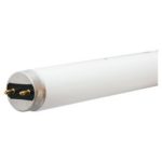 lig00029